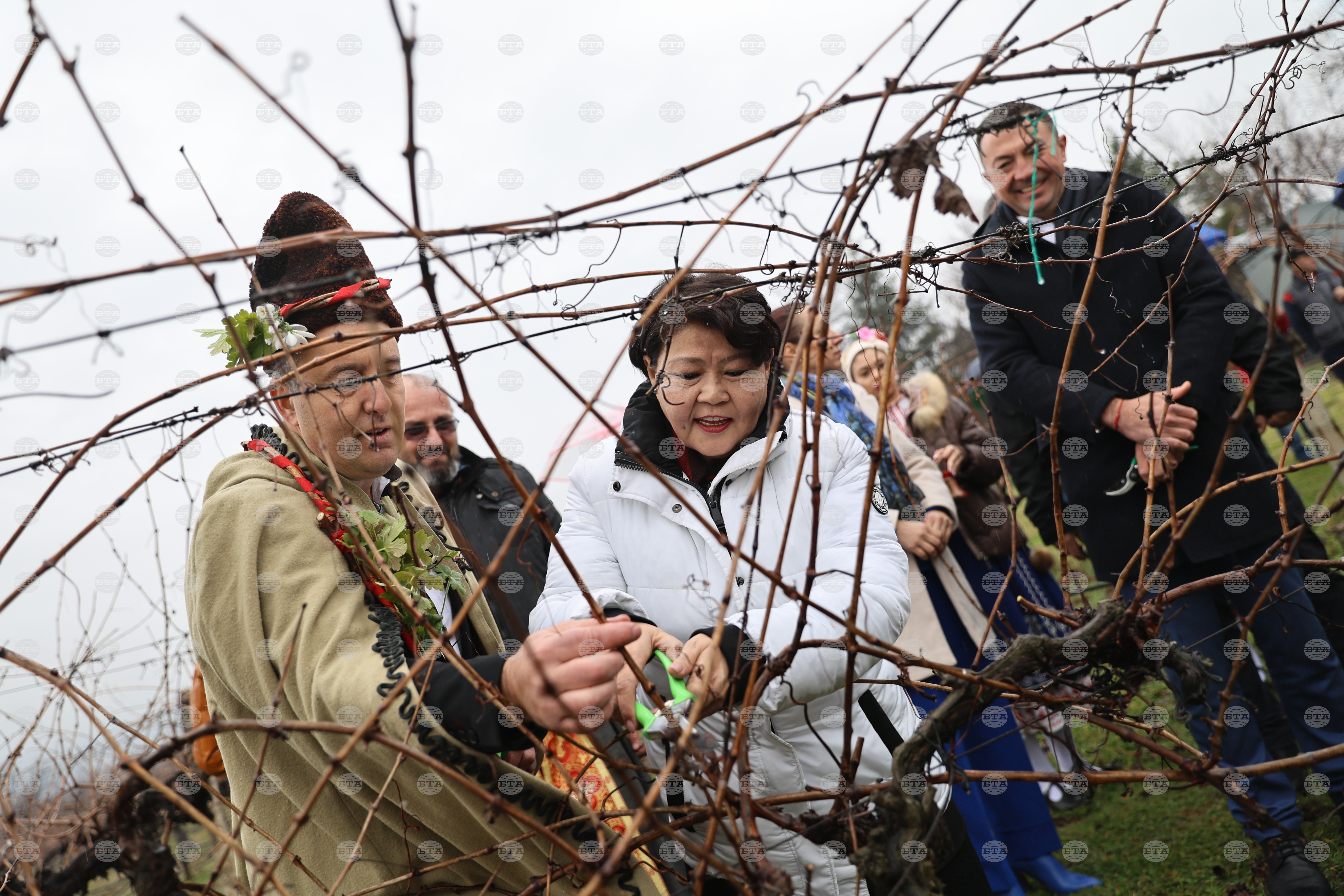 С ритуал по зарязване на лозята Аграрен университет - Пловдив отбеляза Деня на лозаря и празника на Факултета по лозаро-градинарство